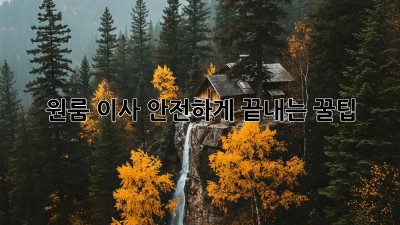 원룸 이사, 안전하게 끝내는 꿀팁!