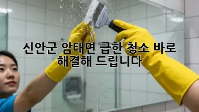 신안군 암태면 급한 청소? 바로 해결해 드립니다!